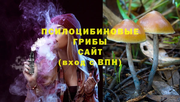 молекула духа Алексеевка
