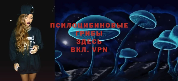 молекула духа Алексеевка