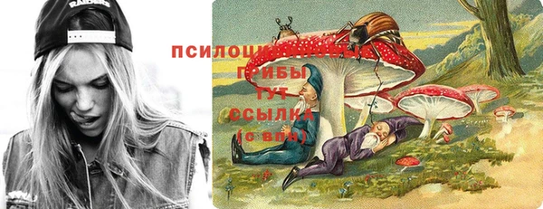 ПСИЛОЦИБИНОВЫЕ ГРИБЫ Алексин