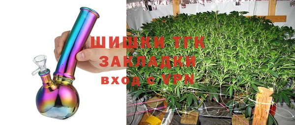 молекула духа Алексеевка