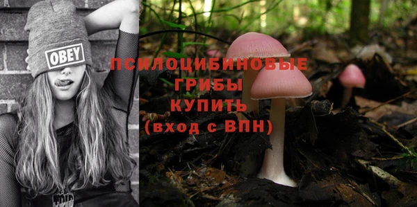 ПСИЛОЦИБИНОВЫЕ ГРИБЫ Алексин