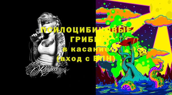 молекула духа Алексеевка