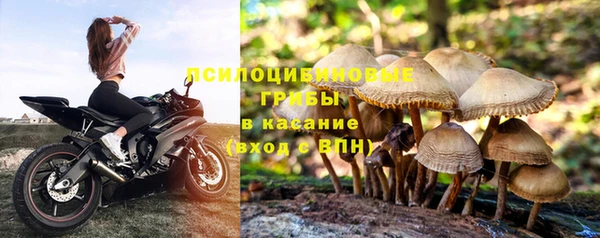 молекула духа Алексеевка