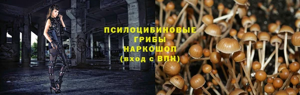 молекула духа Алексеевка