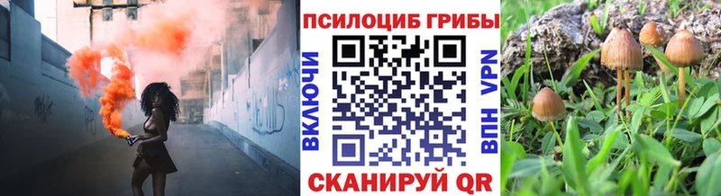Галлюциногенные грибы MAGIC MUSHROOMS  Санкт-Петербург 